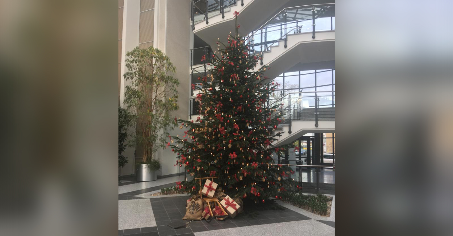 Weihnachtsbaum Sparkasse Hildesheim